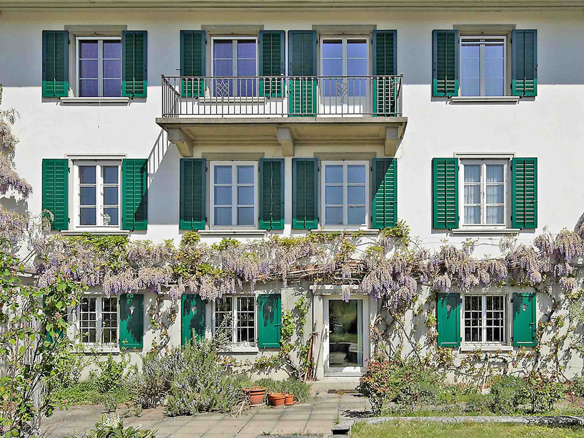 Hausfassade mit vielen Fenstern, grünen Fensterläden und blühendem Blauregen